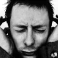 Yorke