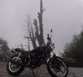 lysh8694