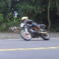 kmsh10037