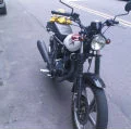 thedog6962002
