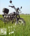 腸人當自強