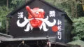 藍眼狼