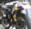gordenbess11