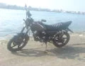 黑東
