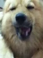 天才寶寶