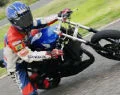 小小馬