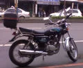 newlive1989