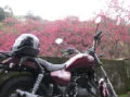 HUEI