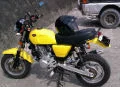 nice0935123